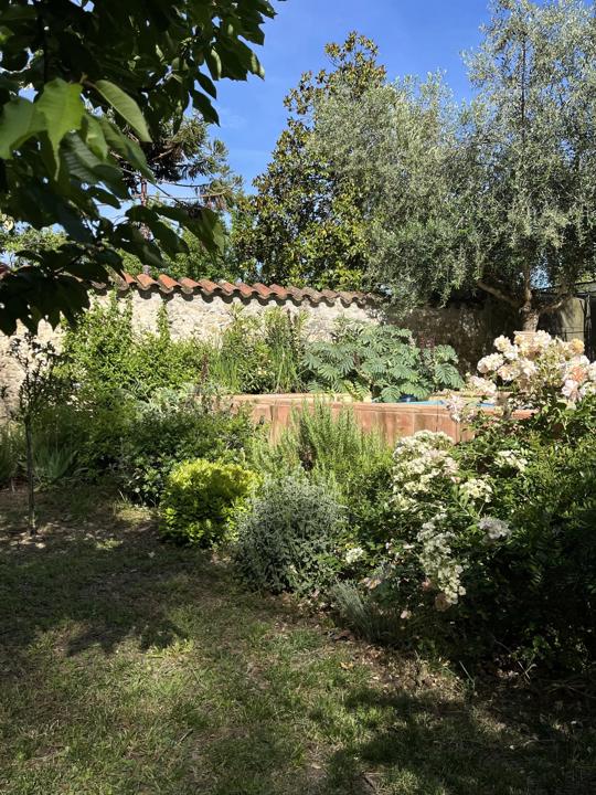 Jardin de centre-ville à Céret, massifs méditerranéens