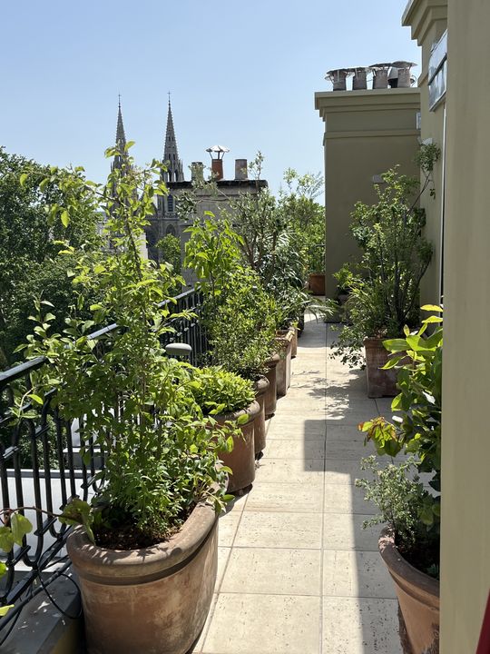 Terrasse Courty, Paris 7e, photo 1