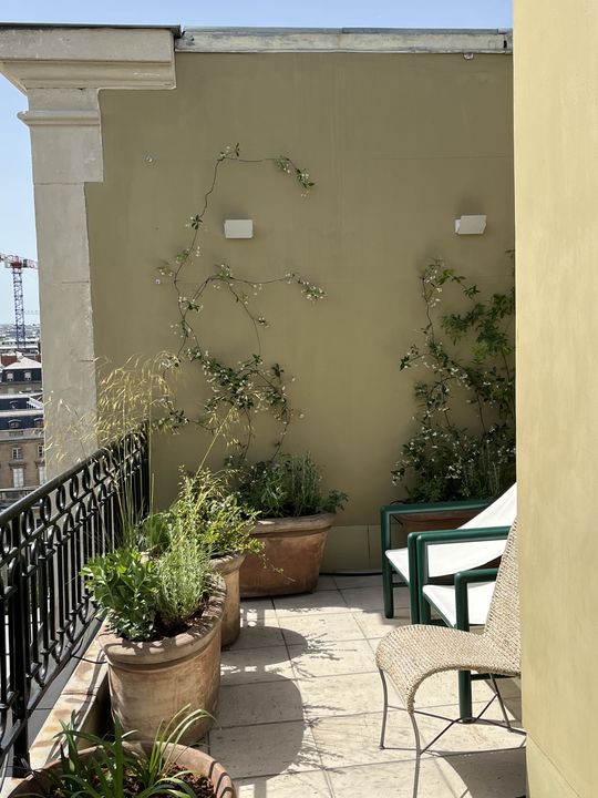 Terrasse Courty, Paris 7e, photo 7