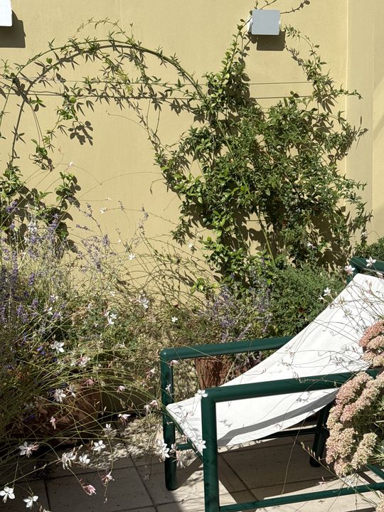 Terrasse Courty, Paris 7e, photo 8