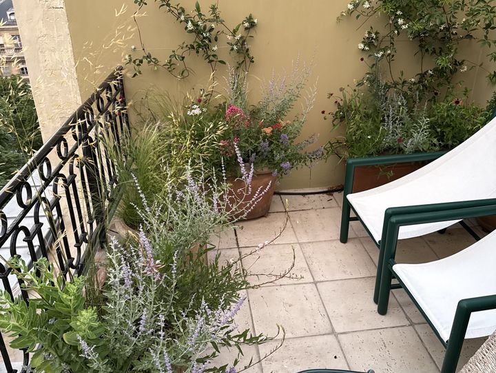 Terrasse Courty, Paris 7e, photo 9