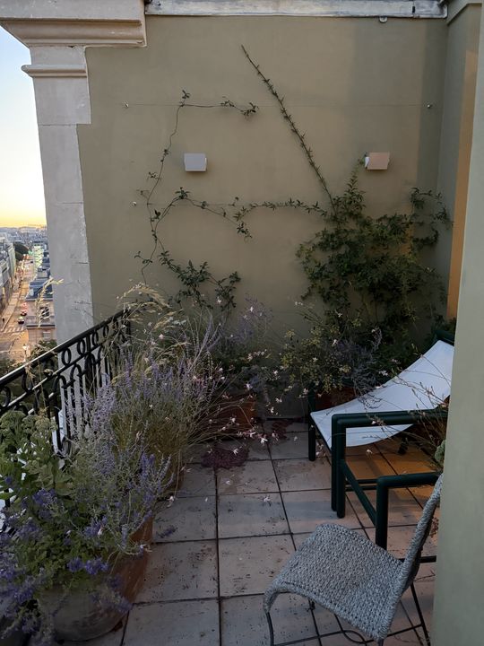 Terrasse Courty, Paris 7e, photo 10