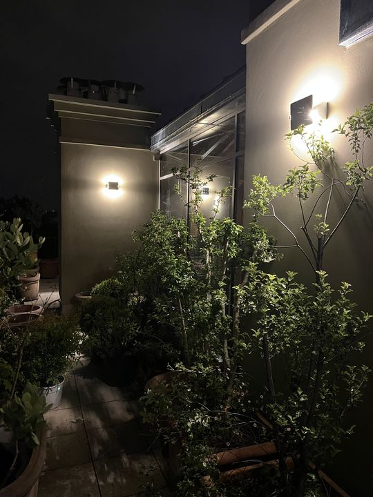 Terrasse Courty, Paris 7e, photo 12