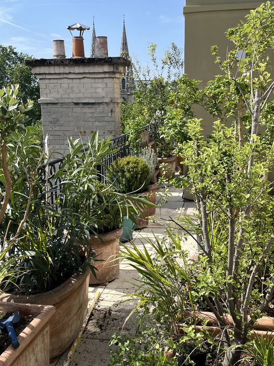 La même coursive après les plantations : arbustes et vivaces en pots, cheminées en arrière-plan