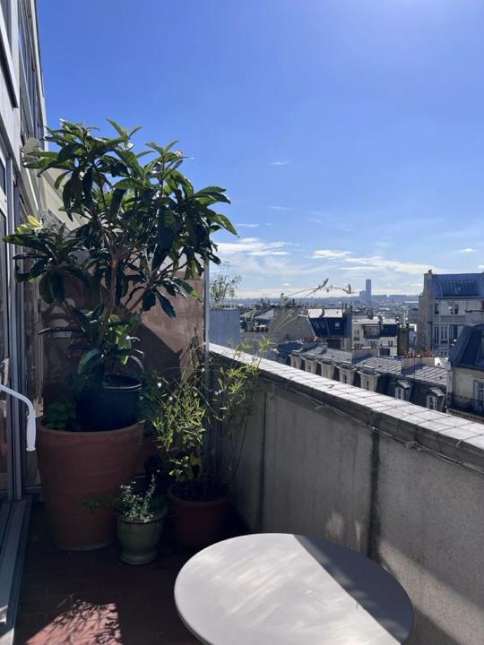 Balcon en hauteur avec néflier du Japon en pot et vue sur Paris
