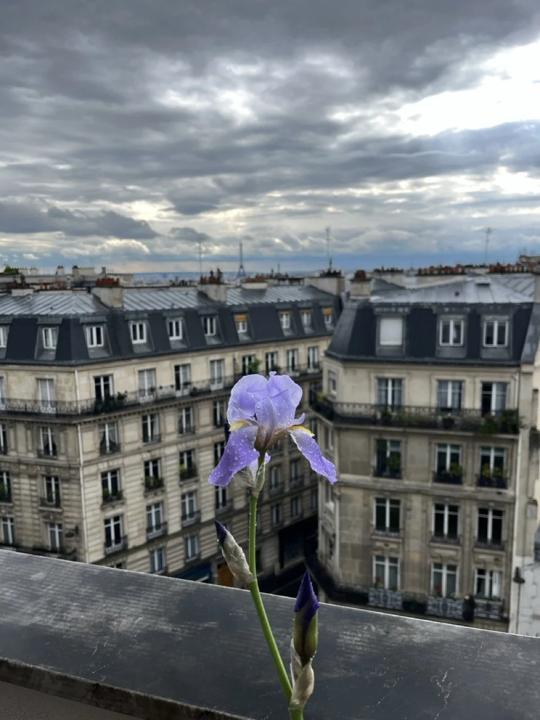 Balcon des Martyrs, Paris 9e, photo 15