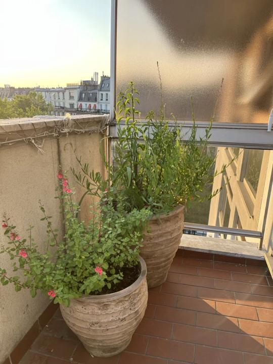 Balcon des Martyrs, Paris 9e, photo 16