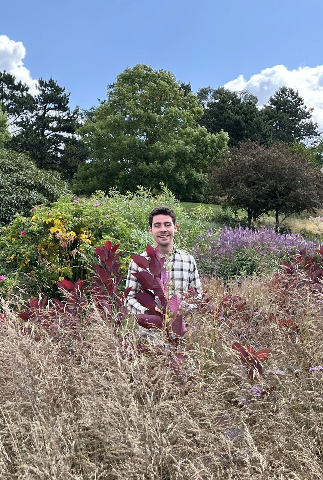 Tristan Bellier, paysagiste, dans un jardin naturaliste de graminées